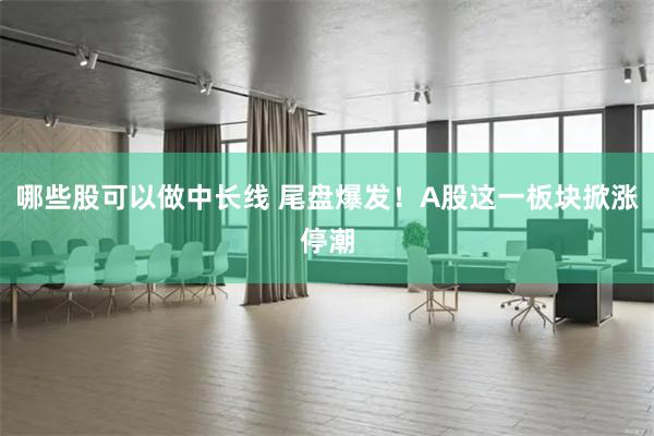 哪些股可以做中长线 尾盘爆发！A股这一板块掀涨停潮