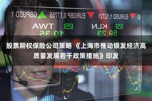 股票期权保险公司策略 《上海市推动银发经济高质量发展若干政策