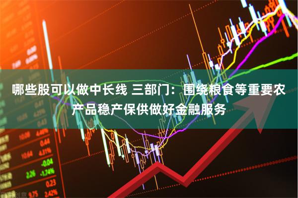 哪些股可以做中长线 三部门：围绕粮食等重要农产品稳产保供做好
